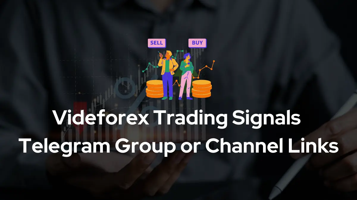 Videforex Trading Signals Telegram Group Channel Links