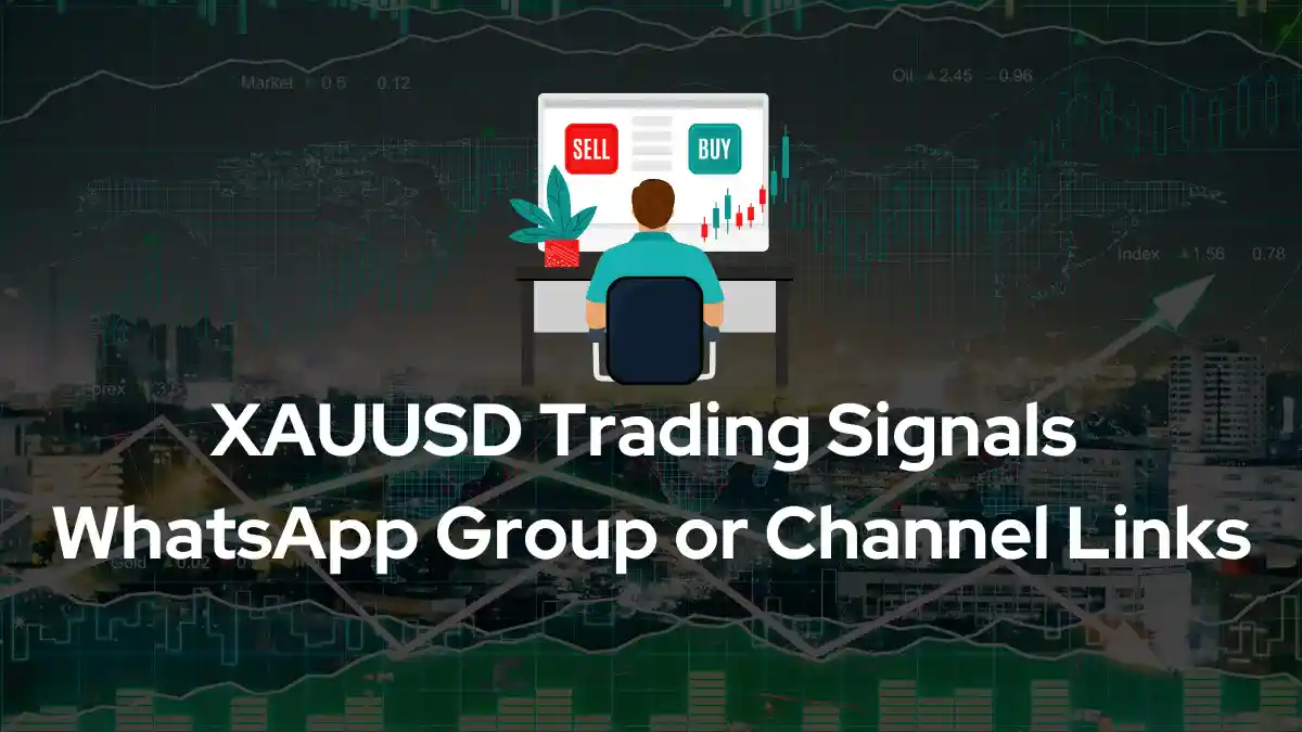 XAUUSD Trading Signals WhatsApp Group Channel Links